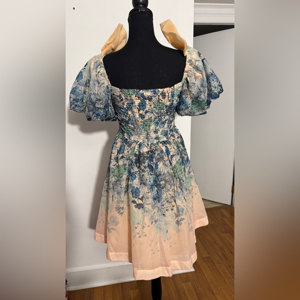 Flo Ruched Mini Dress Gently used 
Let Me Be by Anthropologie - Picture 6 of 9